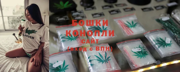 твердый Михайлов