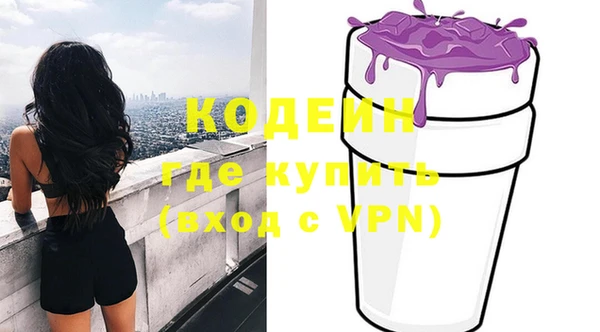 индика Михайловск