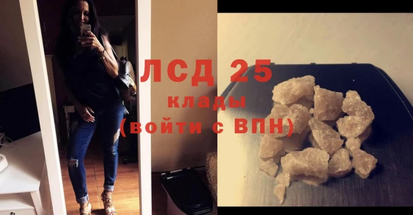 индика Михайловск