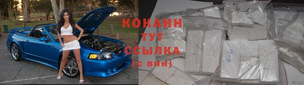 твердый Михайлов