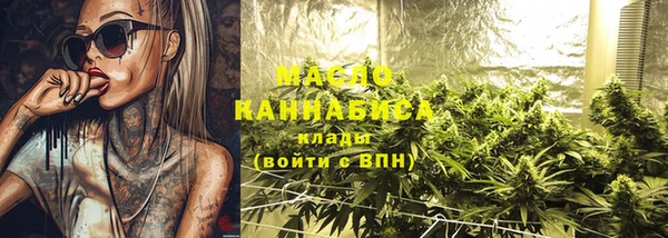 индика Михайловск