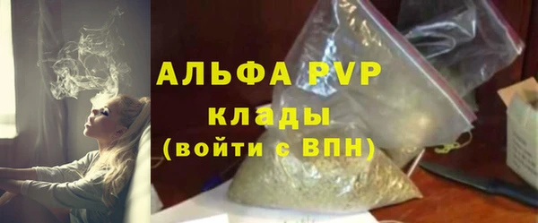 индика Михайловск