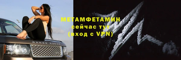 индика Михайловск