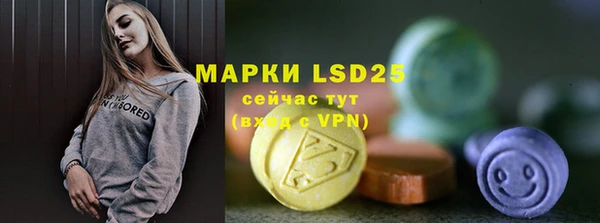 индика Михайловск