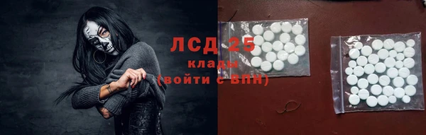 твердый Михайлов
