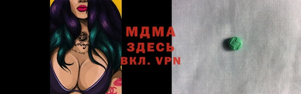 индика Михайловск