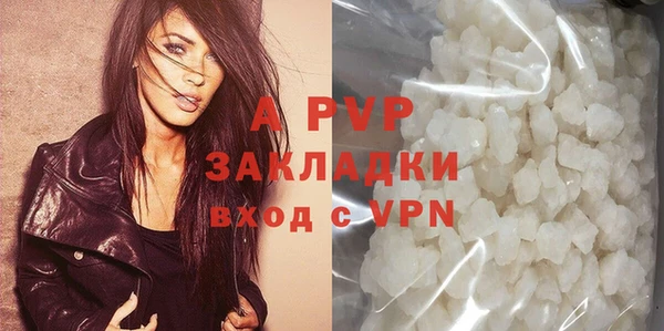 твердый Михайлов