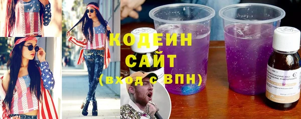 индика Михайловск