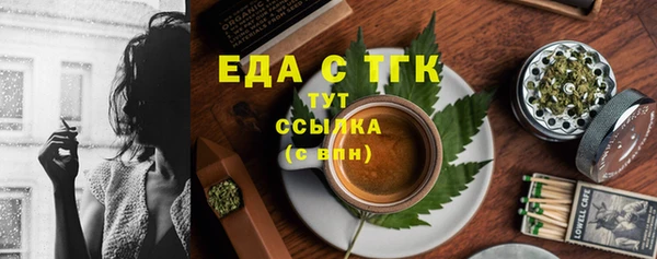 индика Михайловск