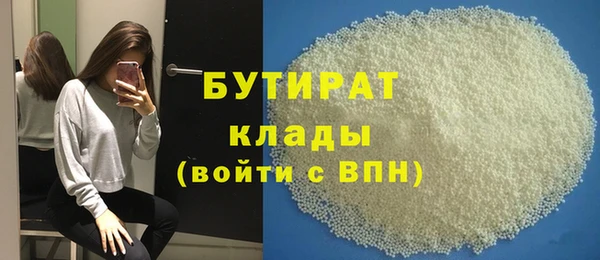 индика Михайловск