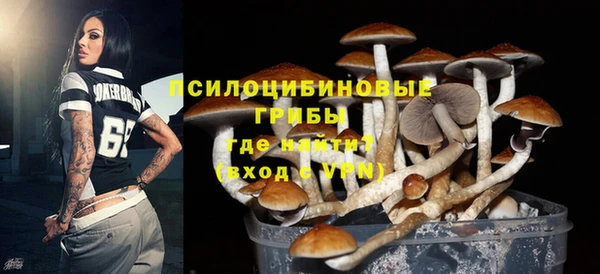 твердый Михайлов