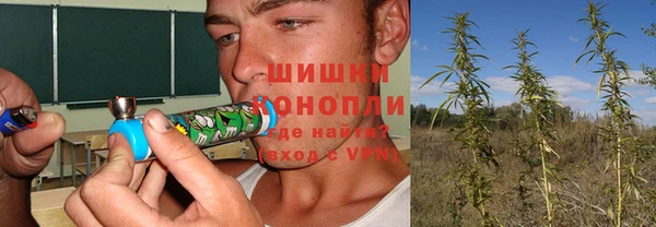 шишки Михайловка
