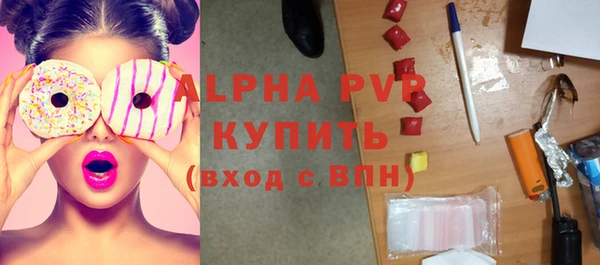 индика Михайловск