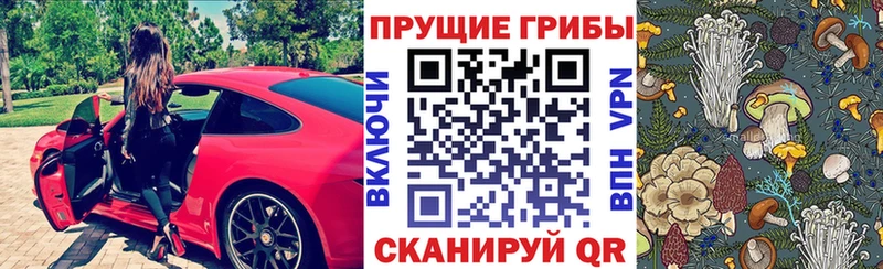 Купить где  Приморско-Ахтарск  Псилоцибиновые грибы ЛСД 
